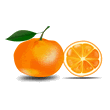 oranges-2.gif