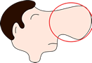 nose.gif